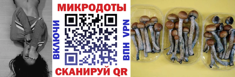 дарк нет клад  Белый  Псилоцибиновые грибы MAGIC MUSHROOMS 